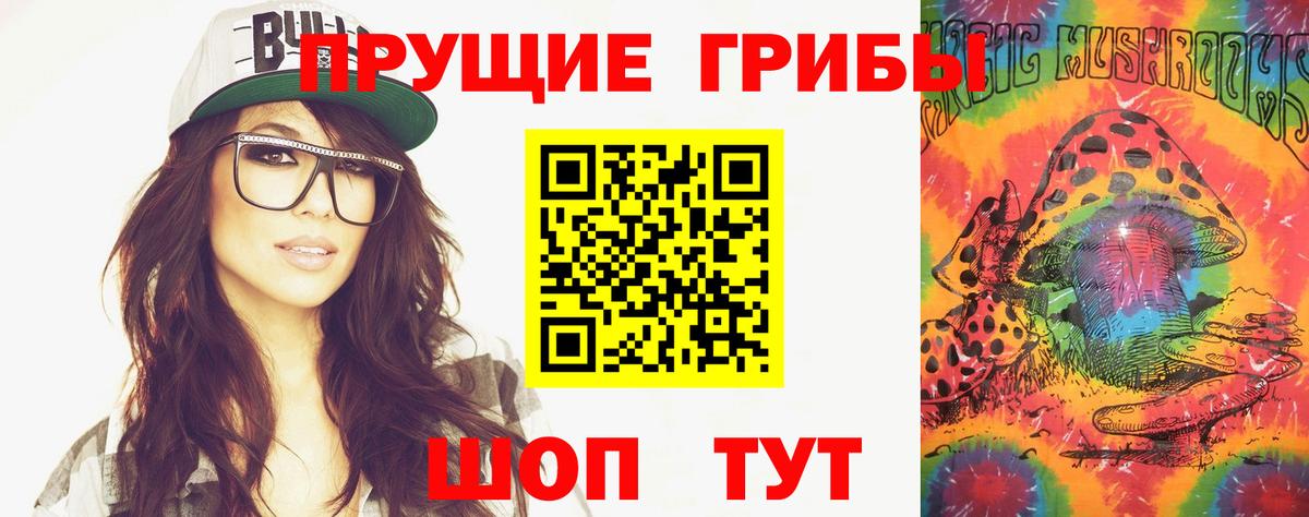 Псилоцибиновые грибы Psilocybine cubensis Саянск
